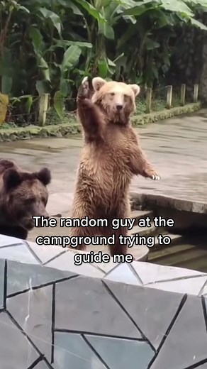 Camper Back-Up Camera Guide for Camping Enthusiasts