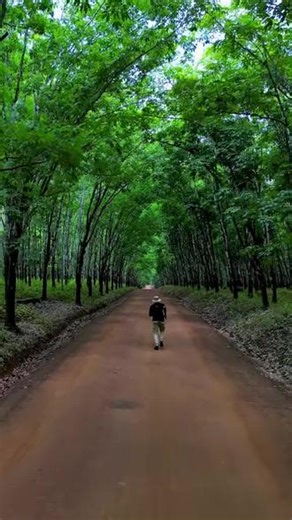 🇨🇲喀麦隆Cameroon #喀麦隆 #Cameroon #看世界