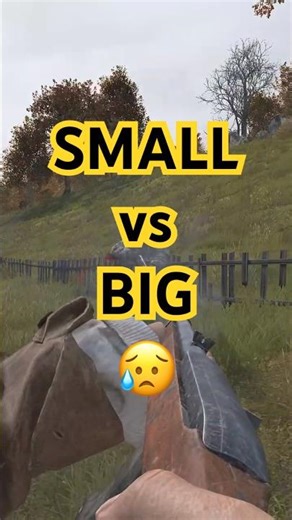 SMALL GUN vs BIG GUN DayZ PVP #shorts