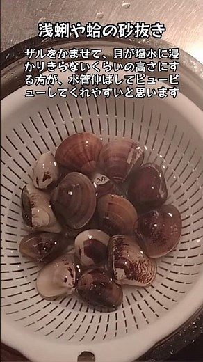 アサリやハマグリの、基本的な砂抜きのやり方！