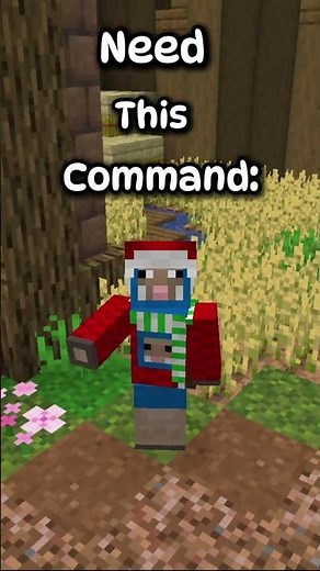 How to Get Invisible Item Frames in Minecarft!!