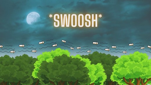 What’s Up Weather: What makes the wind howl?