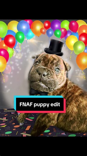 This little guy is named Fazz. I decided to edit him accordingly #fnaf #freddyfazbear #puppyedit #fivenightsatfreddys