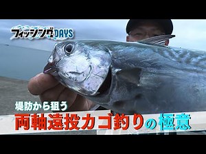 フィッシングDAYS「堤防から狙う 両軸遠投カゴ釣りの極意」