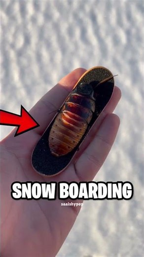 The tiny snowboarding champion