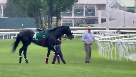 🇭🇰 香港滞在中の 🇯🇵 ジューンテイクですが、ジョアン・モレイラ騎手が騎乗した今朝の追い切り後、馬場内で下馬して歩様の確認が行われました。続報が入りましたら、またお伝えします。#競馬 #海外競馬