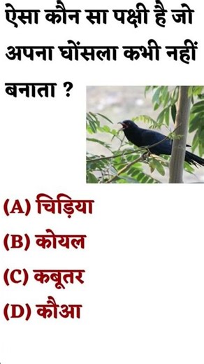 Which is the correct answer, tell me in the comment.🥰