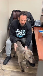 💔 𝗪𝗲 𝗮𝗿𝗲 𝗵𝗲𝗮𝗿𝘁𝗯𝗿𝗼𝗸𝗲𝗻 𝘁𝗼 𝘀𝗵𝗮𝗿𝗲 𝘀𝗼𝗺𝗲 𝗱𝗶𝗳𝗳𝗶𝗰𝘂𝗹𝘁 𝗻𝗲𝘄𝘀. Just when we thought 𝗔𝗹𝗲𝘅𝗶𝘀 was finally on the path to the life she deserves, we discovered a concerning tumor. While we figure out her diagnosis, we urgently need a foster home for her. We’re scared of what the results may be, and our biggest fear is that Alexis won’t get to experience a real home and could die at the rescue. ❤️ 𝗔𝗹𝗲𝘅𝗶𝘀 𝗶𝘀 𝘁𝗵𝗲 𝗱𝗲𝗳𝗶𝗻𝗶𝘁𝗶𝗼𝗻 𝗼𝗳 𝗮 𝘀𝘂𝗿𝘃𝗶𝘃𝗼𝗿