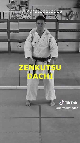 Posiciones Básicas de Karate para Niños