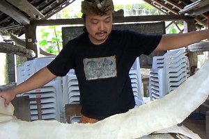 Mengintip proses pembuatan kertas dluwang secara tradisional - ANTARA News