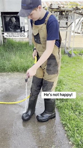 Worrying About Stains: A Farm Life Dilemma