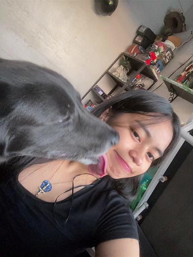 k fine i missed u too milo🙄🙄 #fyp #foryoupage #dog