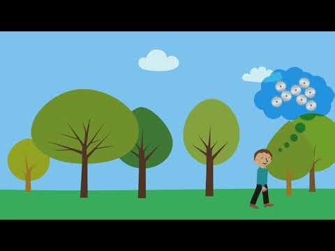 Creative Thinking: Creative Problem Solving