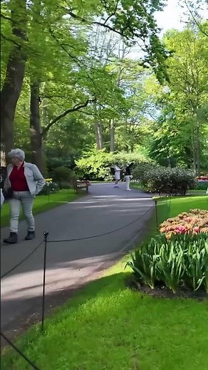 Keukenhof || Wonder Gardens| Walking Among Tulips 4K