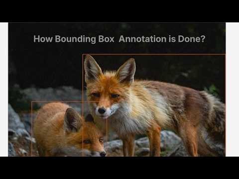 Bounding Box Annotation Tutorial for Beginners | Object Detection Data Annotation Explained