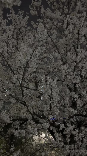 옆모습은 몰래 보고 뒷모습은 오래봤다 — 짝사랑 보고싶어 표현