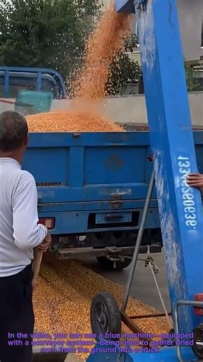 Automatic Corn Collection: Machine Gathers Dried Corn