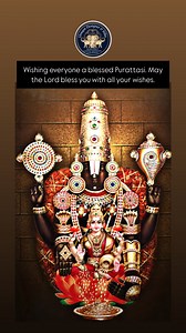 Unique Designer & Silks on Reels