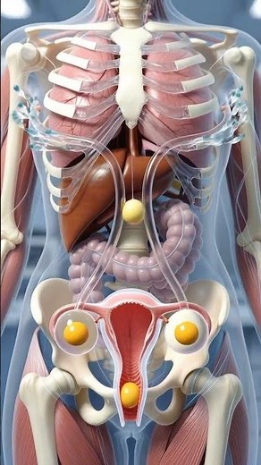 Twin Babies Development Inside Womb #anatomy #bioscope #sciencevideo #educationalvideo #3danimation