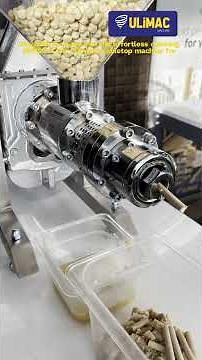 UM200 Cold Press Machine – Premium Oil Extraction for Chefs