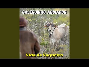 Fim dos Tempos