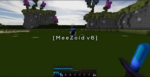 MeeZoid v6