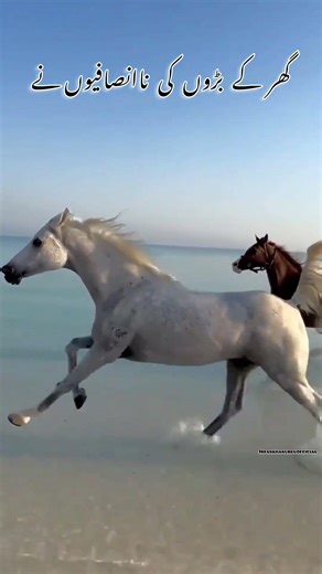 #allahuakbar #mashaallah #rasoolallah #alhamdulillah#irfankhanurduofficial