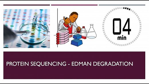 Protein Sequencing — Edman Degradation – Lifeboat News: The Blog