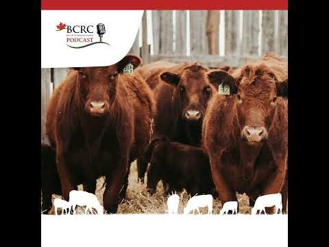Episode 55: Proper Management Key to Reducing Calf Scours