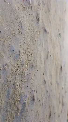 #bollywood #song #movie #music #entertainment #silent_coder