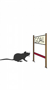 The Real Reason You Can’t Stay Motivated | Practical Psychology | Facebook