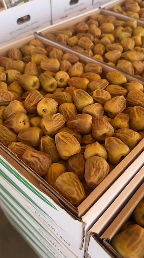 عروض تمور القصيم الفاخرة بأسعار مذهلة