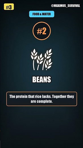 🏆 TOP 5 — 5 Best Survival Foods To Stockpile #3