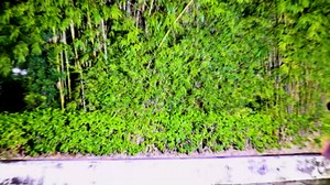 Rechargeable LED Flashlights High Lumens, 99,000 Lumens Super Bright Flashlight 7 Modes w/COB Work Light, Powerful Flash Light for Outdoor Emergency Hiking Camping