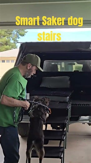 Smart Saker dog stairs #smartsaker