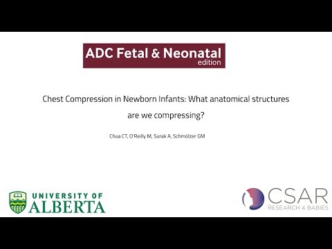 What structures are being compressed during chest compressions in newborn infants?