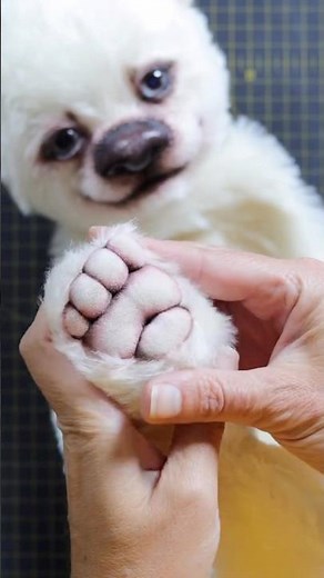 Creating a Soulful Teddy: 100% Hand-Stitched🧸