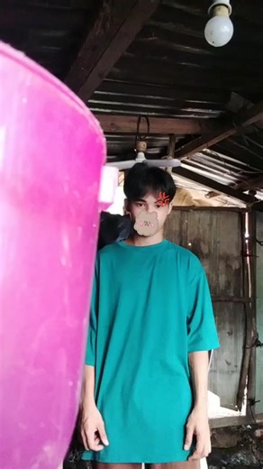 TikTok · Archie plays.