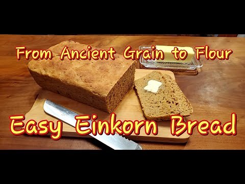 Ancient Grain! Easy Einkorn Bread. From grain to flour to bread!!!