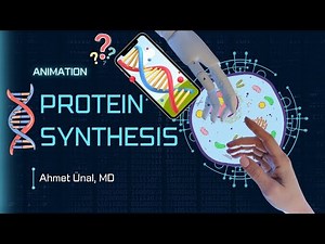 🧬 DNA ▶ RNA ▶ PROTEIN | TRANSCRIPTION & TRANSLATION |PROTEIN SYNTHESIS | ANIMATION