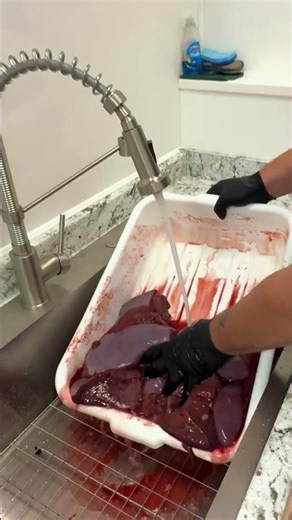 Preparing Moose Liver for the Freezer: Chef Dad’s Step-by-Step Guide!