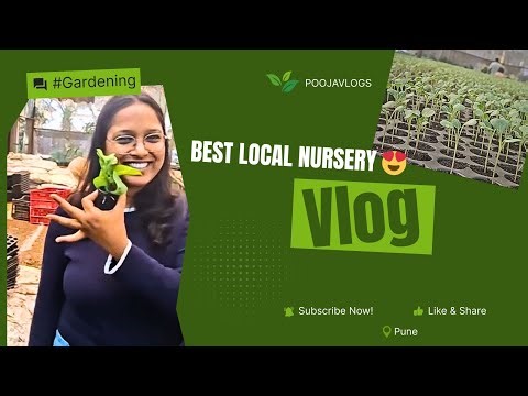 Visiting a Local Nursery 🌱 | Indoor & Vegetable Plants Tour | Plant Shopping Vlog #vlog