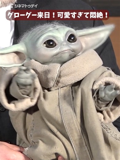 グローグー、本人の登場に会場悶絶！中島裕翔も驚き！『スター・ウォーズ/マンダロリアン・アンド・グローグー』 #スターウォーズ #マンダロリアンアンドグローグー #ペドロパスカル #グローグー #ジョンファヴロー #中島裕翔 @starwarsjapan