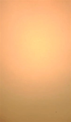 Relaxing curves👀 || Please support guys