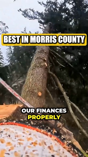 👋Hey guys! My name is Mike, and I own Jersey Tree Services LLC here in New Jersey⭐ I absolutely LOVE what I do—helping people keep their homes safe and beautiful by taking care of problem trees. Everyone always asks… how much does it cost to remove or trim a tree? Well… It depends on a few things: Do you need something quick and cost-effective? Or do you want every step done with precision, leaving your yard looking perfect? Unfortunately, not all tree removal quotes are created equal. We know 