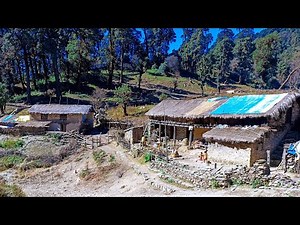 Beautiful Nepali Mountain Village Simple Happy Lifestyle | Rural Nepal quest | Nepali Village life