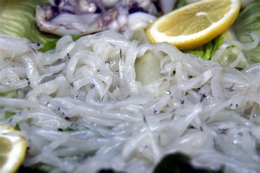 Angulas: ¿qué son y por qué se consideran joyas marinas?