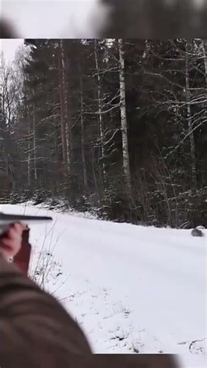 #охотанакроликов#кроликвприроде#охотавполе#дикаяжизнь#природавокруг#