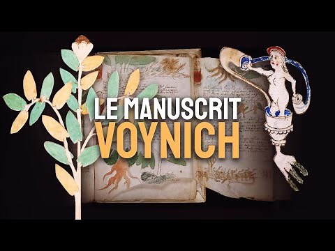 The VOYNICH Manuscript