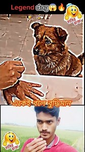 916K views · 10K reactions | Intelligence Dog #amazing #আকাশ #Intelligence #math #Attitude #stats #ফানিভিডিও #Funny #Video #fannyvideo #trend #fyp #trending #challenge #teaching #exams #vairalvideo #trendingpost #vairalreels #Bangladesh #foryoupagereels #foryoupageシforyou #foryouシ #vairalpage #vairal2025シ #viralreelsfacebook #facebookreel | হাসির রাজ্য | Facebook
